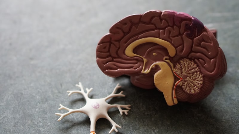 Memory and Neuro Health